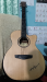 Guitar-(DEVIJER L-570-40)